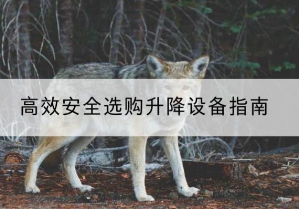 文昌升降货梯厂家推荐-*安全选购升降设备指南