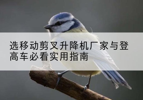 文昌电动升降机厂家-选移动剪叉升降机厂家与登高车必看实用指南