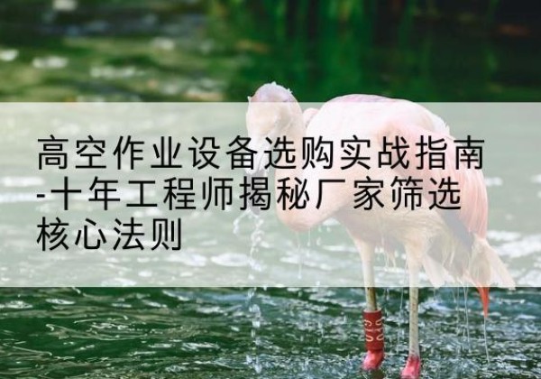文昌剪叉式升降机厂家-高空作业设备选购实战指南-十年工程师揭秘厂家筛选核心法则